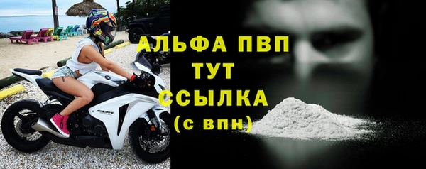 прущие грибы Новокубанск