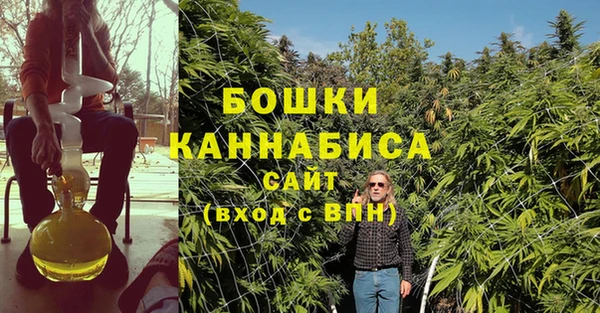 apvp Иннополис