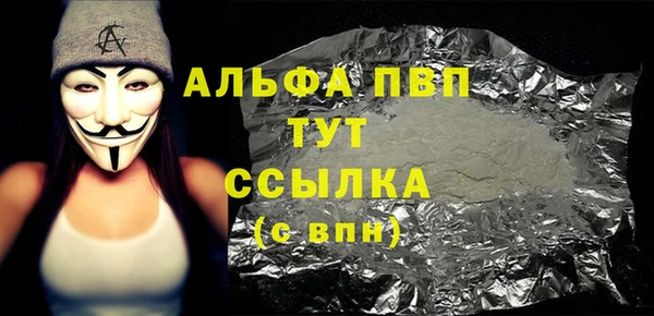 индика Киренск